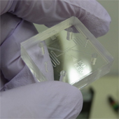 microfluidic device